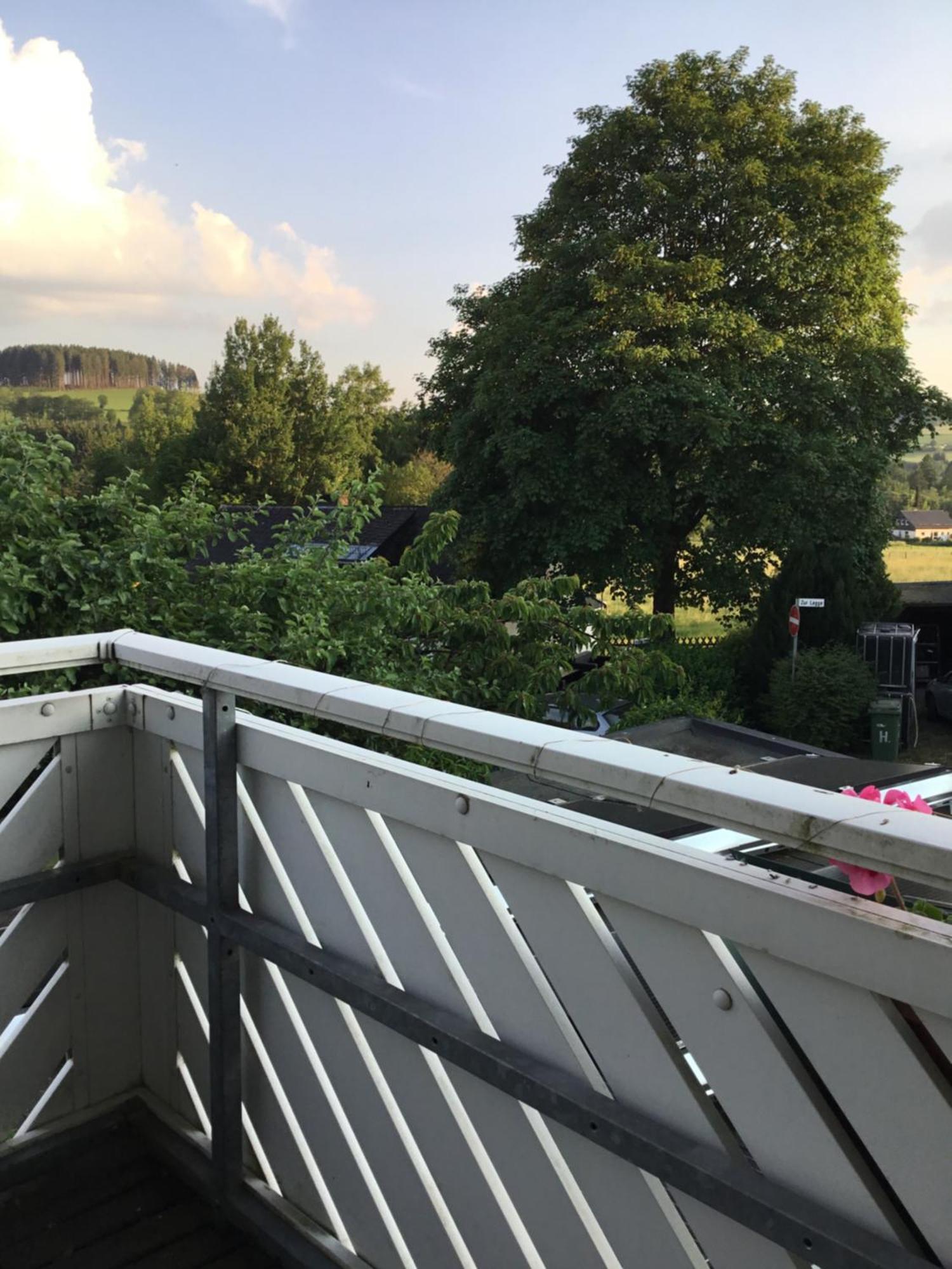 Pension Sonnenheim Winterberg Exterior foto