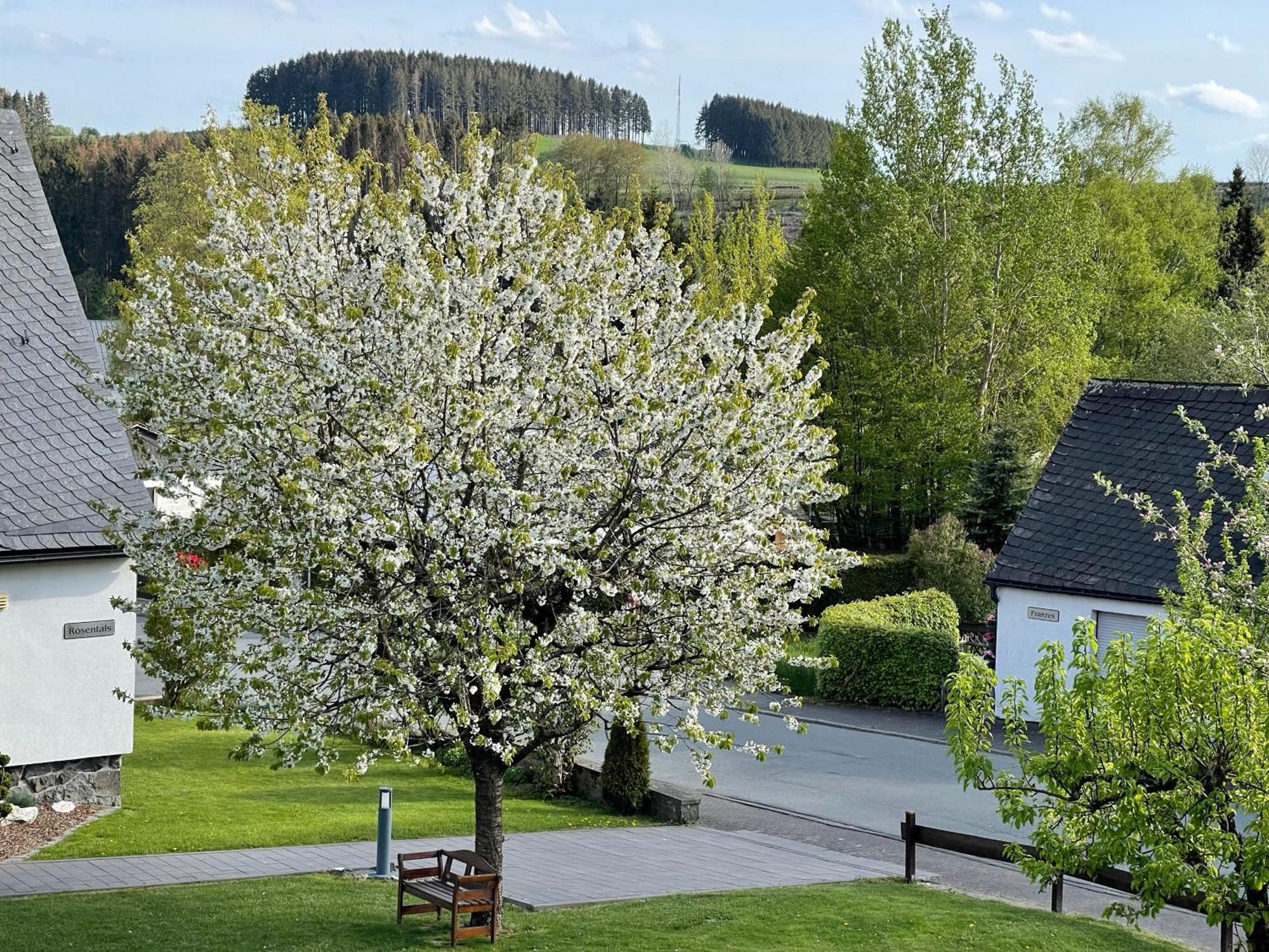 Pension Sonnenheim Winterberg Exterior foto