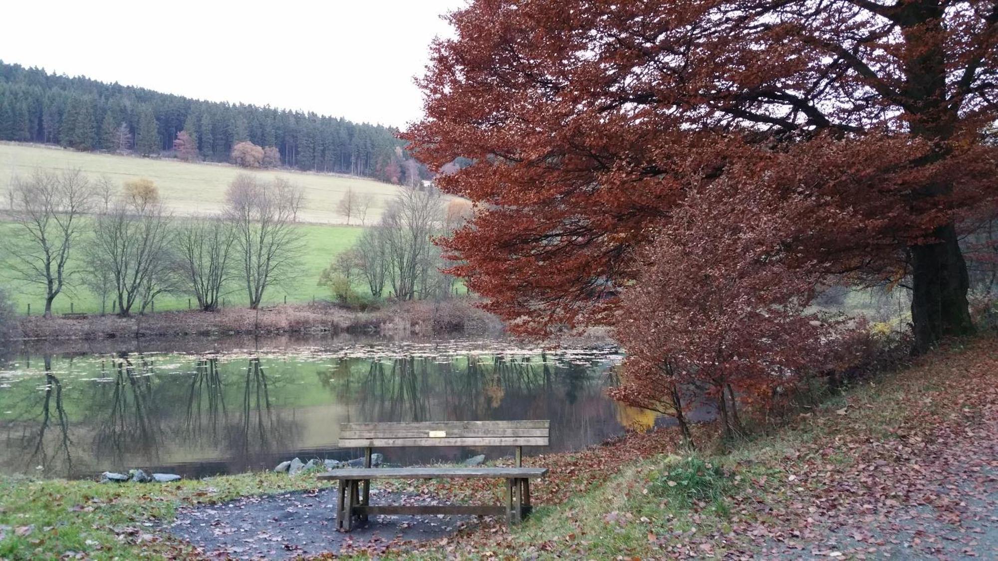 Pension Sonnenheim Winterberg Exterior foto